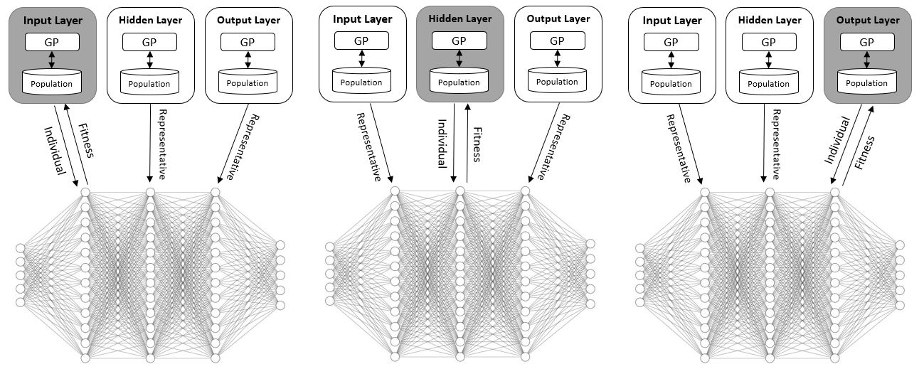 Evolution of AFs thumbnail